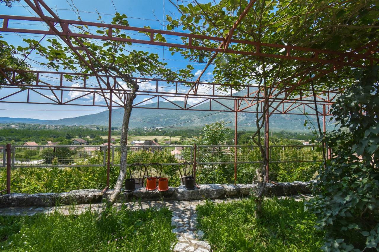 Family Tradition Danilovgrad Exterior photo